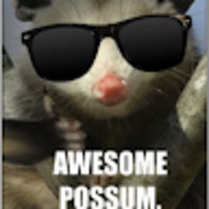 Meet your Posher, Sophie